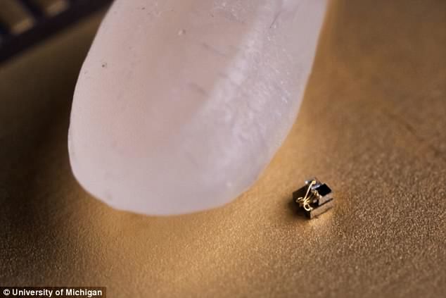 全球最小电脑面世：尺寸仅0.3mm